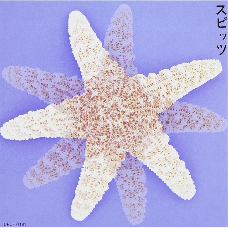 スピッツ Crispy! レコード スピッツ ‎– Crispy! | 中古レコード通販・買取のアカル・レコーズ